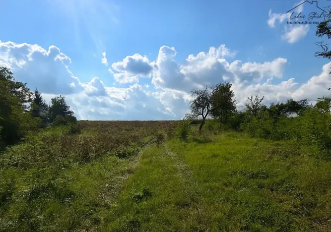 Prodej pozemku pro bydlení, Krušovice, 2750 m2