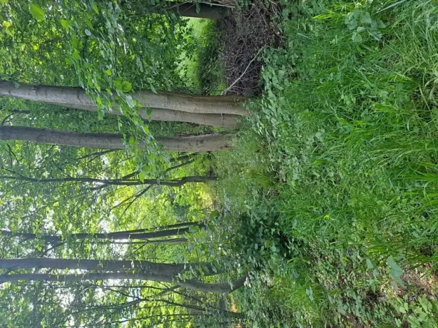 Prodej pozemku, Rožnov pod Radhoštěm, 126 m2