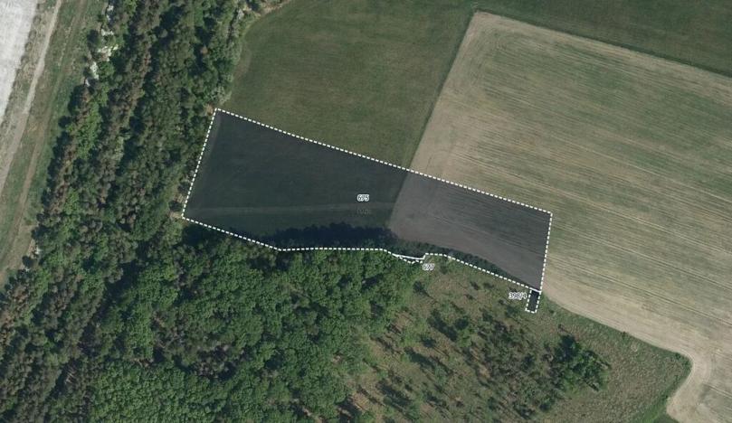 Prodej louky, Újezd u Sezemic, 17371 m2