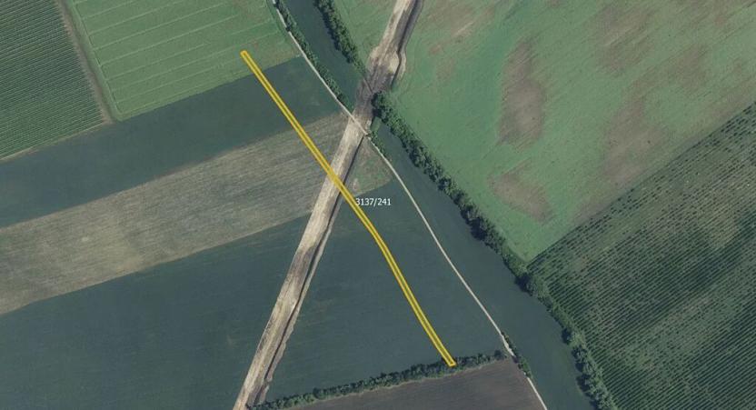 Prodej pole, Prušánky, 4991 m2