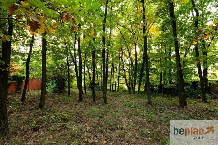 Prodej chaty, Brno, Křivánky, 42 m2