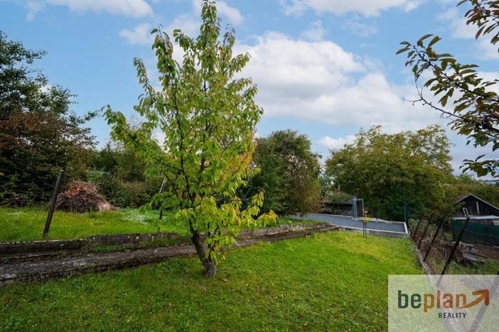 Prodej chaty, Brno, Křivánky, 42 m2