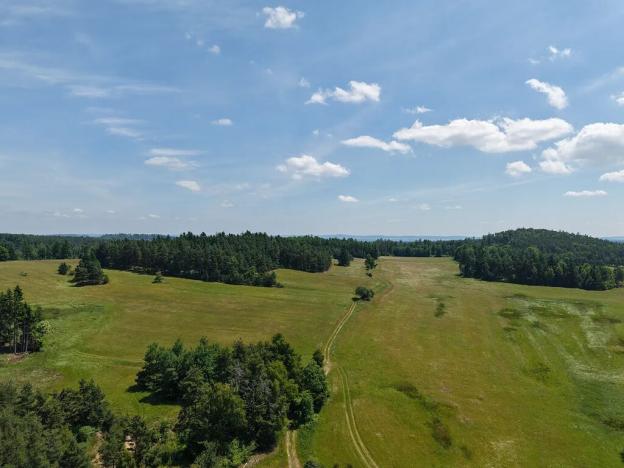 Prodej louky, Kunžak, 9082 m2