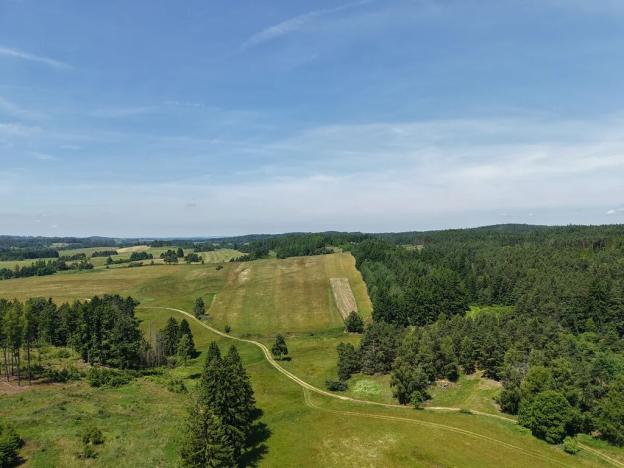 Prodej louky, Kunžak, 9082 m2