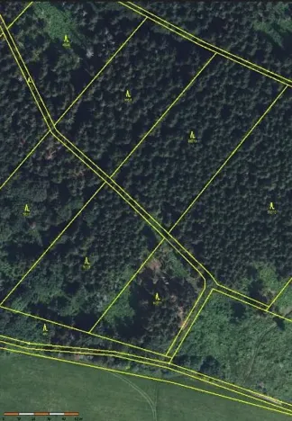 Prodej podílu lesa, Štíty, 11465 m2