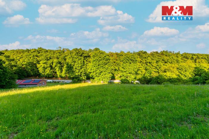 Prodej louky, Jílové u Prahy, 18692 m2