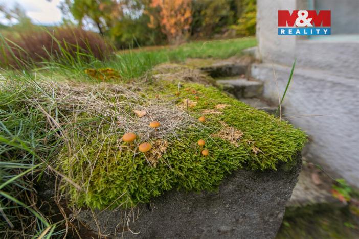 Prodej chaty, Stříbro - Butov, 50 m2