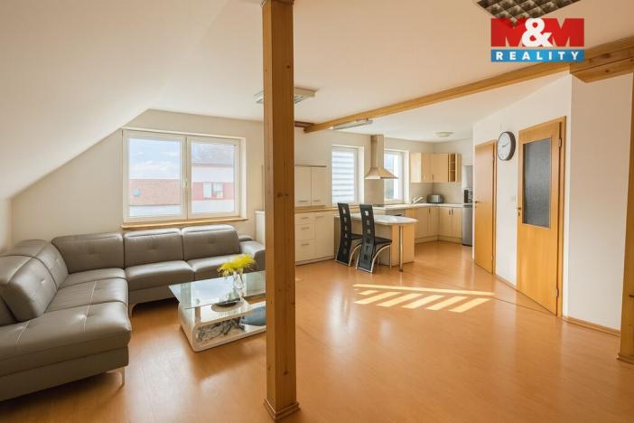 Prodej rodinného domu, České Budějovice - České Budějovice 5, Ledenická, 290 m2