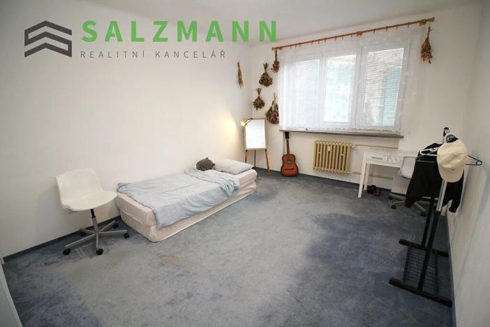 Pronájem bytu 3+1, Plzeň, Revoluční, 82 m2