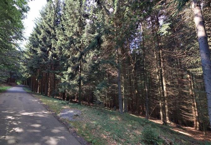 Prodej lesa, Hartinkov, 8121 m2