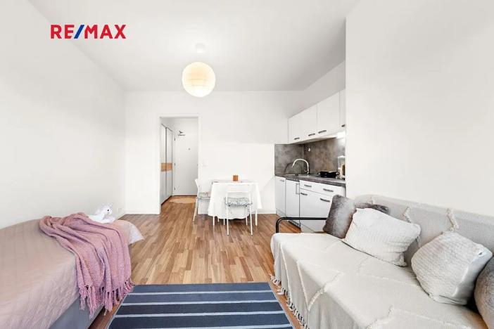 Prodej bytu 1+kk, Praha - Libeň, Novovysočanská, 27 m2