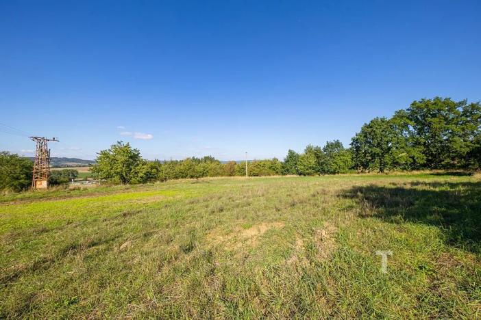 Prodej komerčního pozemku, Krhov, 2990 m2