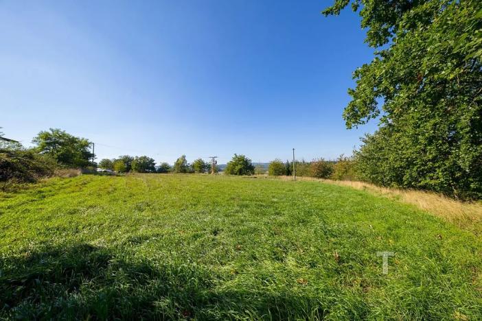 Prodej komerčního pozemku, Krhov, 2990 m2