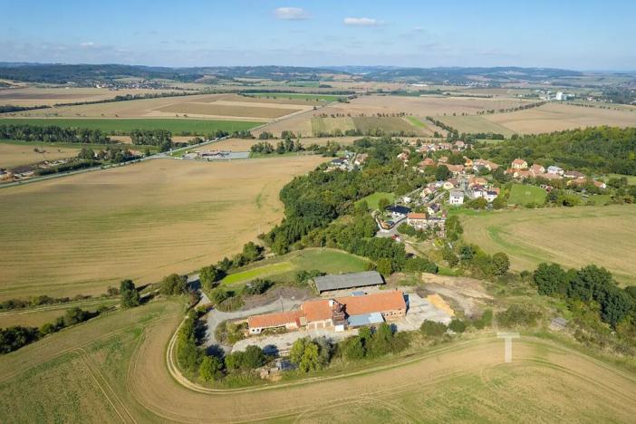 Prodej komerčního pozemku, Krhov, 2990 m2