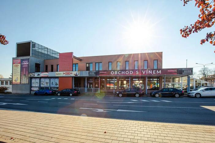 Pronájem kanceláře, Ostrava, Vítkovická, 17 m2