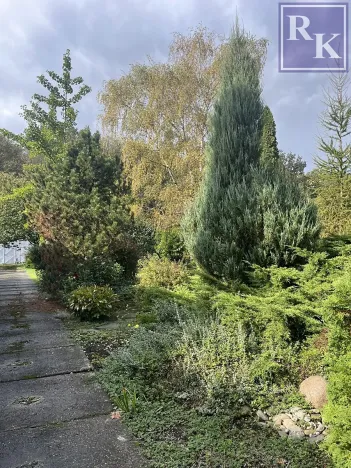 Prodej obchodního prostoru, Ostrava, U Lesa, 297 m2