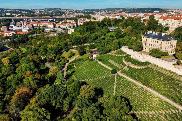 Prodej bytu 2+kk, Praha - Vršovice, Černomořská, 43 m2