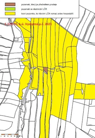 Prodej lesa, Vyskytná, 665 m2