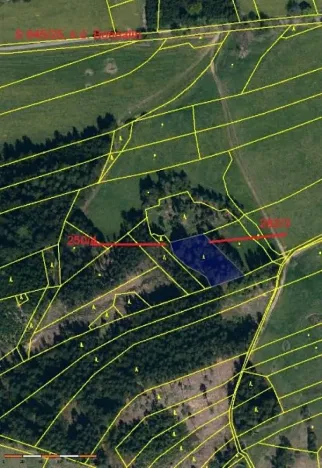 Prodej lesa, Bohdalín, 2728 m2