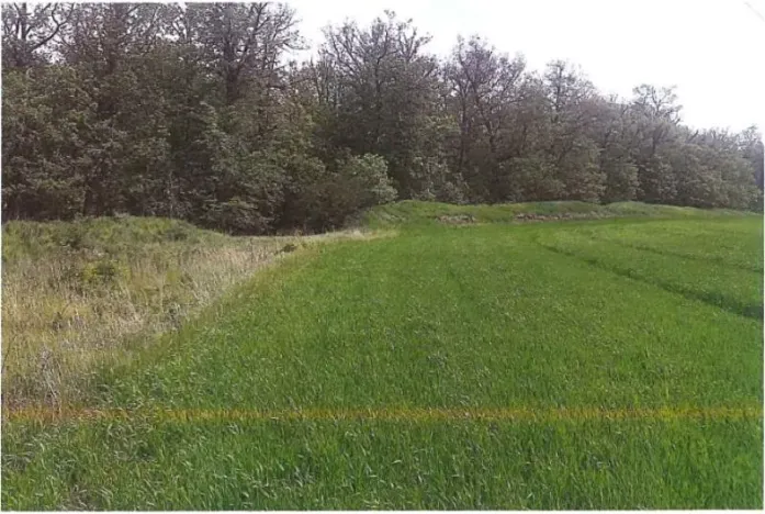 Prodej pozemku, Klobouky u Brna, 5803 m2