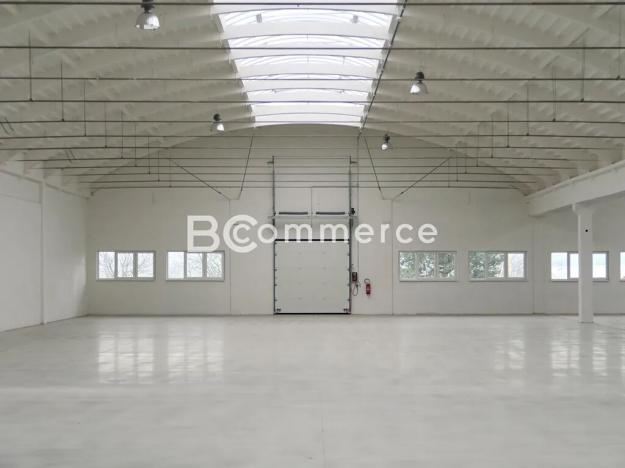 Pronájem skladu, Holubice, 1124 m2