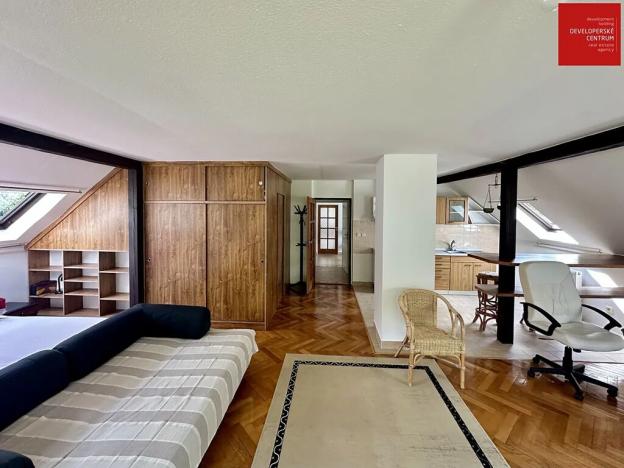 Prodej rodinného domu, Mnichov, 311 m2