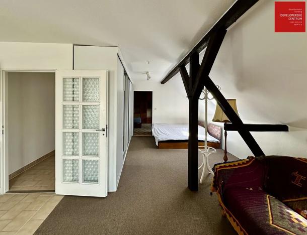 Prodej rodinného domu, Mnichov, 311 m2