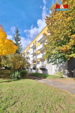 Prodej bytu 2+1, Hradec Králové - Slezské Předměstí, Markovická, 59 m2