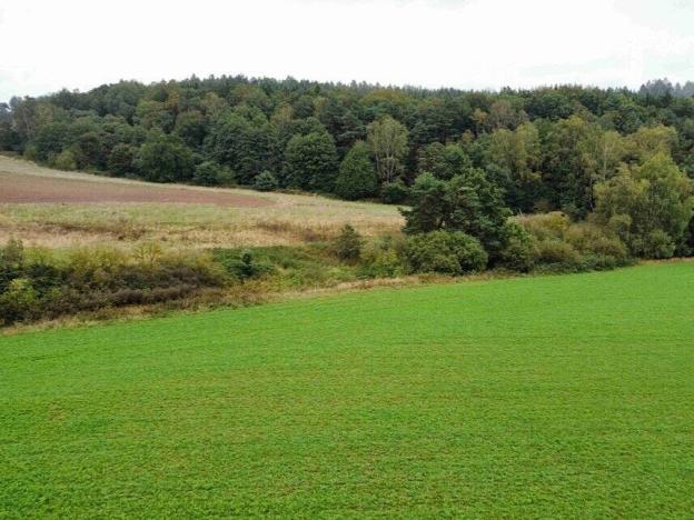 Prodej pozemku, Kostelec nad Černými lesy, 12366 m2