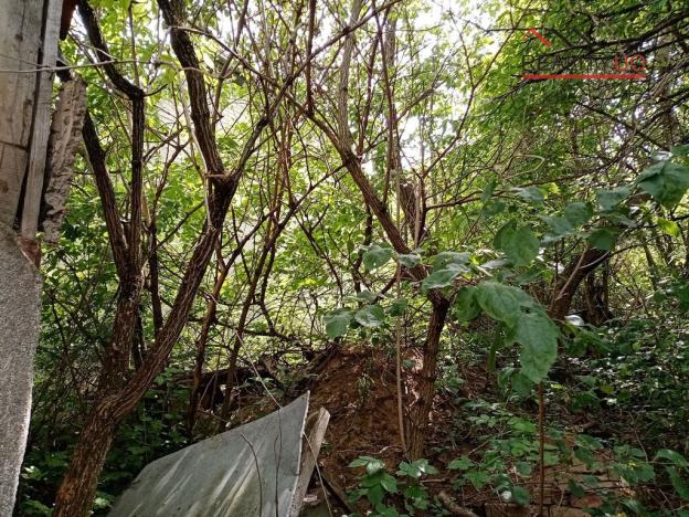 Prodej rodinného domu, Bojkovice - Bzová, 60 m2