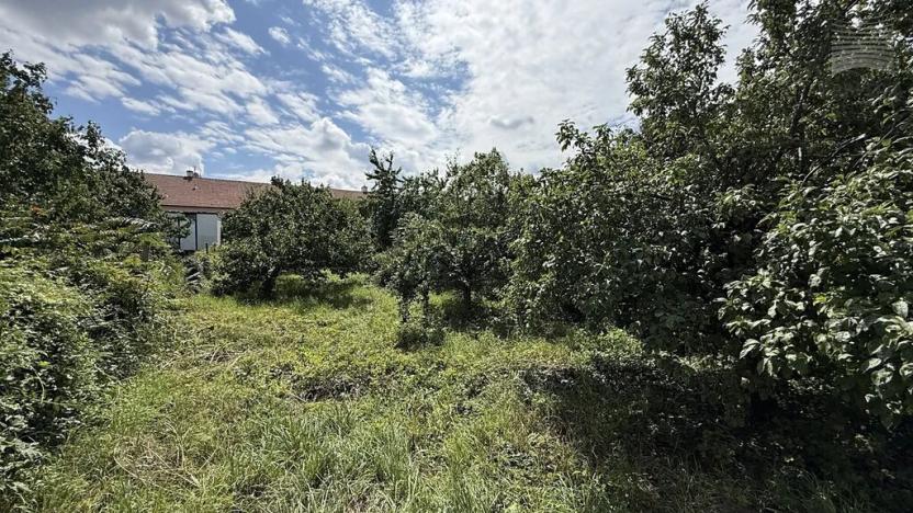 Prodej pozemku pro bydlení, Dolní Věstonice, 453 m2