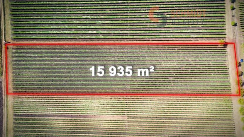 Prodej sadu/vinice, Březí, 15935 m2