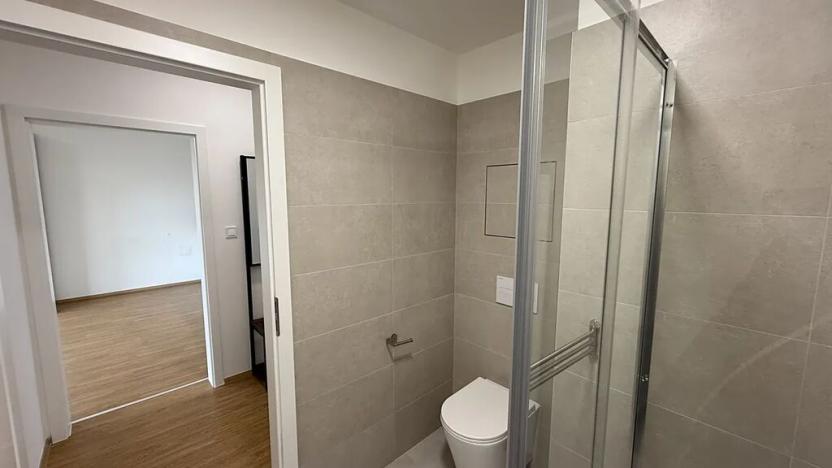 Pronájem bytu 1+kk, Přerov, Čechova, 39 m2