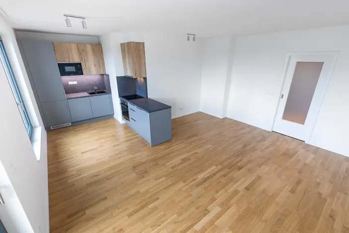 Prodej bytu 2+kk, Praha - Žižkov, Seifertova, 63 m2