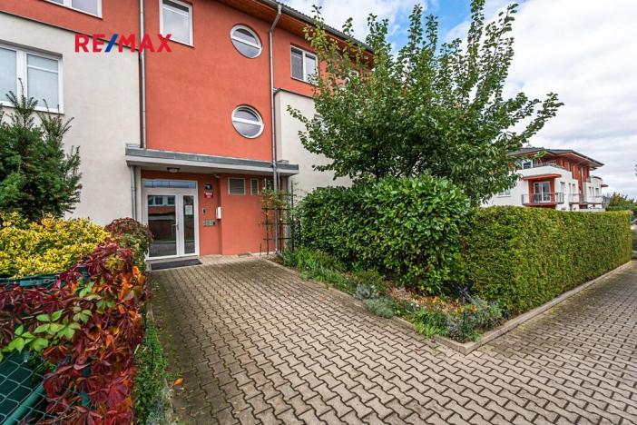 Pronájem bytu 1+kk, Praha - Čimice, Zaječická, 30 m2
