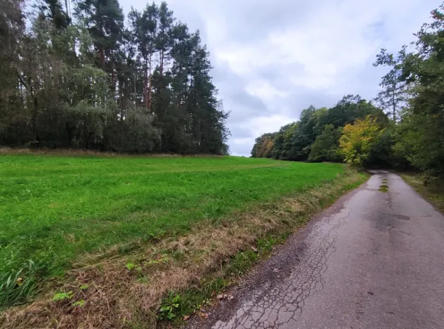 Prodej louky, Nečín, 27616 m2