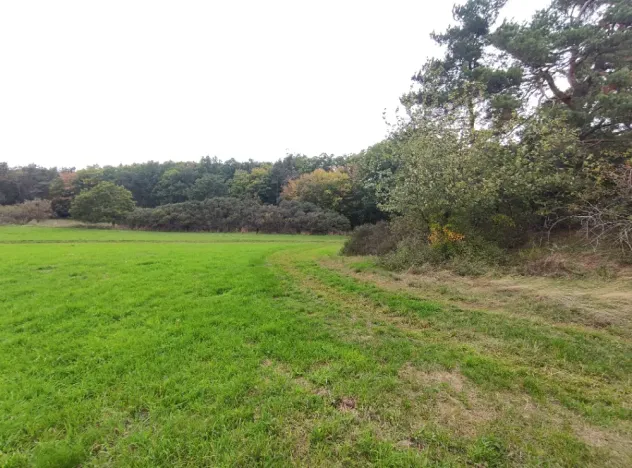 Prodej lesa, Nečín, 44533 m2