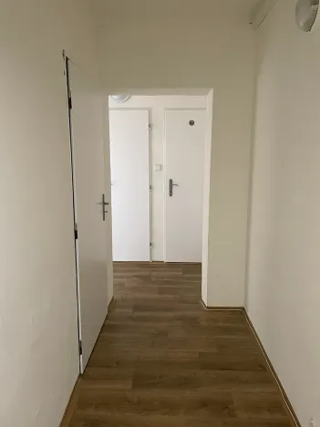Pronájem bytu 1+1, Litvínov, Bezručova, 45 m2
