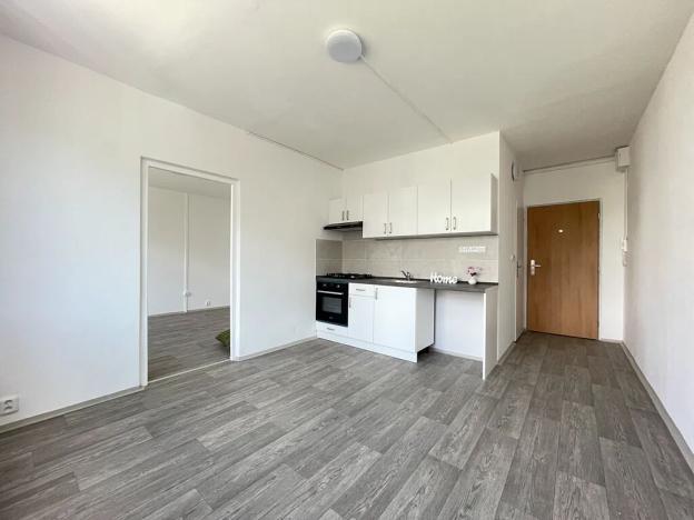 Pronájem bytu 1+1, Litvínov, Rooseveltova, 37 m2