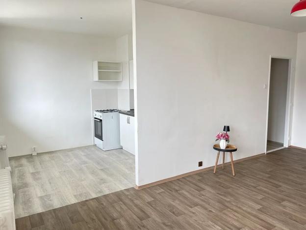Pronájem bytu 1+1, Litvínov, Bezručova, 45 m2