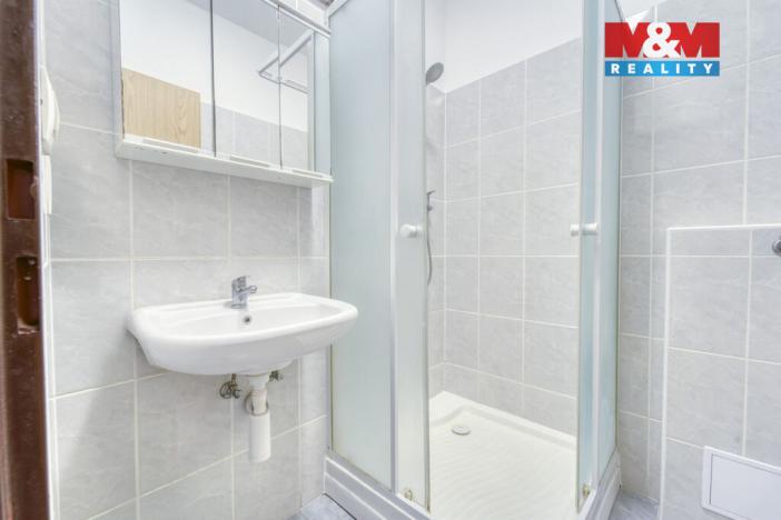 Pronájem bytu 2+1, Plzeň, Nepomucká, 55 m2