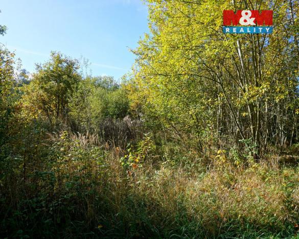 Prodej pozemku pro bydlení, Třebeň, 3689 m2