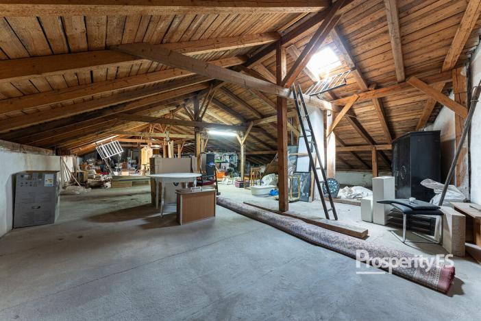 Prodej bytu 6+kk a větší, Ostrava - Mariánské Hory, 28. října, 256 m2