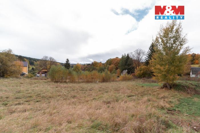 Prodej pozemku pro bydlení, Podhradí, 1091 m2