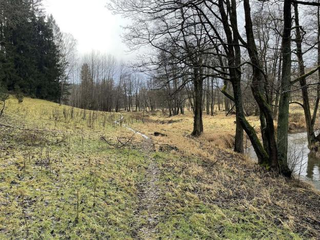 Prodej pole, Toužim - Kojšovice, 12095 m2