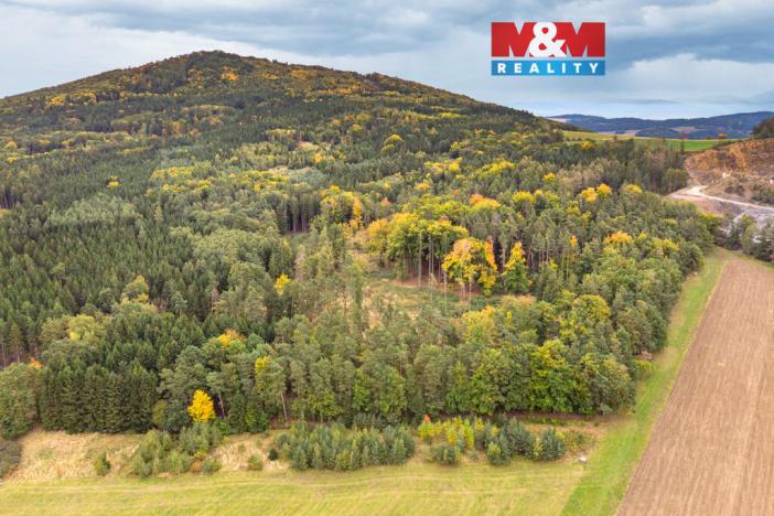 Prodej lesa, Ježovy - Trnčí, 39171 m2