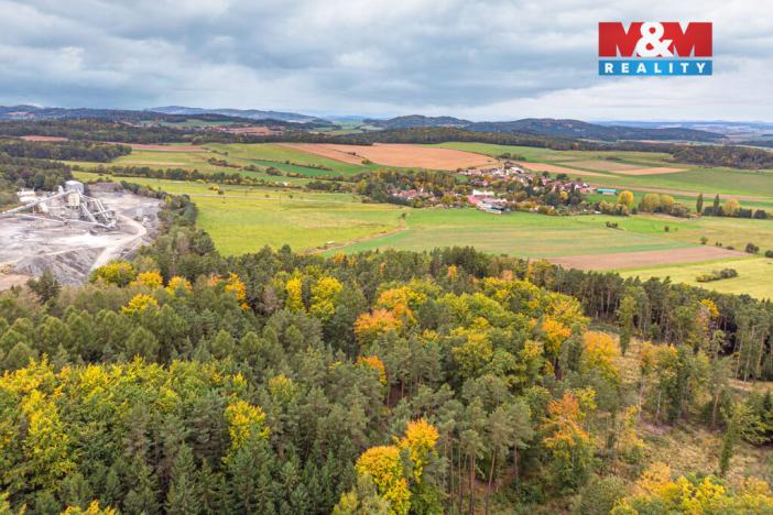 Prodej lesa, Ježovy - Trnčí, 39171 m2