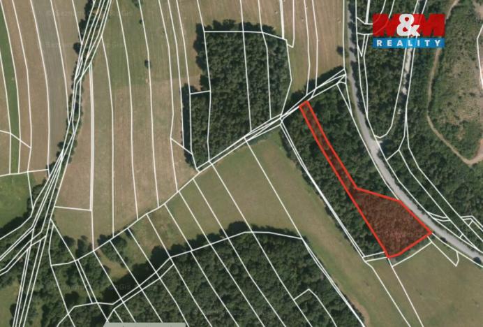 Prodej lesa, Ježovy - Trnčí, 39171 m2