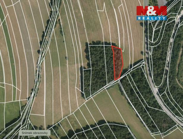 Prodej lesa, Ježovy - Trnčí, 39171 m2