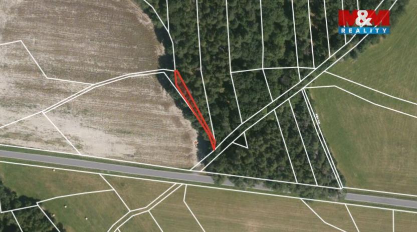 Prodej lesa, Ježovy - Trnčí, 39171 m2